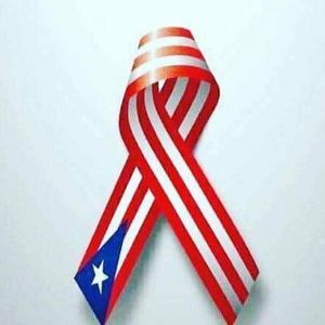 Meet your Posher, Iris